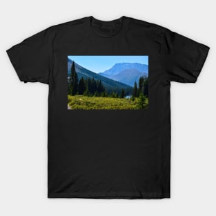 Higher up the Trail. T-Shirt